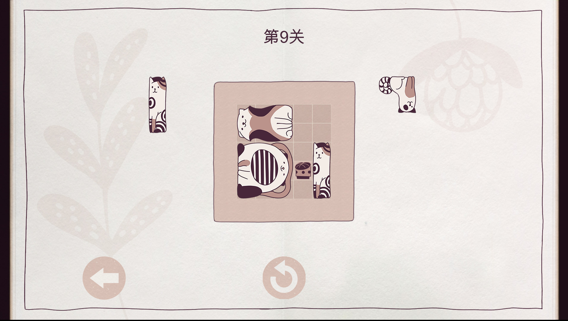 井然有猫/Cats Organized Neatly-腾渊科技论坛