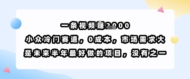 一条视频挣1k，小众冷门赛道，0成本，市场需求大，是未来半年最好做的项目，没有之一-腾渊科技论坛