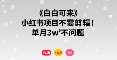 小白可来 小红书项目不需要剪辑 单月3w不是问题-腾渊科技论坛