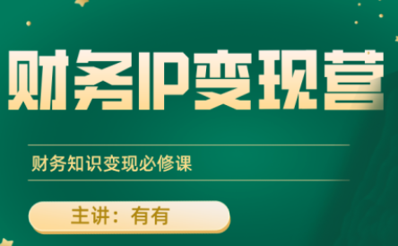 有有老师·财务IP变现营,财务知识变现必修课-腾渊科技论坛