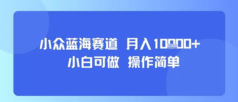 小众蓝海赛道，小白可做，操作简单，每天30分钟，月入1W+-腾渊科技论坛