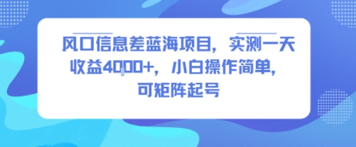 风口信息差蓝海项目，实测一天收益4k+，小白操作简单，可矩阵起号-腾渊科技论坛