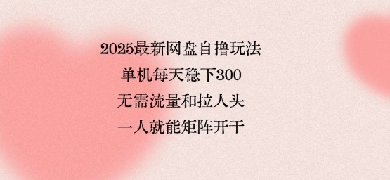 2025最新网盘自撸玩法，单机每天稳下3张，无需流量和拉人头，一个人就可轻松矩阵，全网独一份【揭秘】-腾渊科技论坛