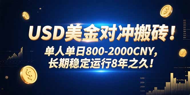 USD美金对冲搬砖!单人单日800-2000CNY，长期稳定运行8年之久!-腾渊科技论坛