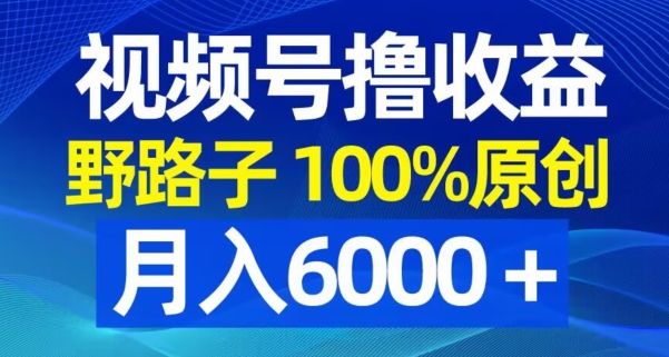 视频号野路子撸收益,100%原创,条条爆款,月入6000+【揭秘】-腾渊科技论坛