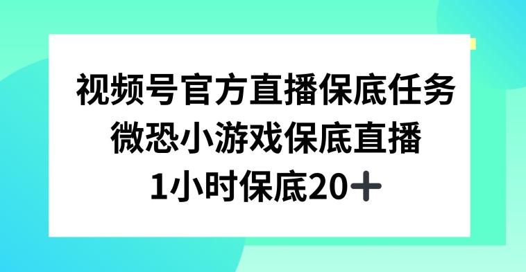 视频号直播任务,微恐小游戏,1小时20+【揭秘】-腾渊科技论坛