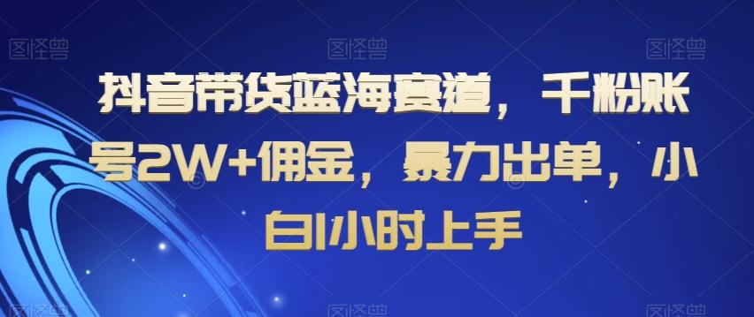 抖音带货蓝海赛道，千粉账号2W+佣金，暴力出单，小白1小时上手【揭秘】-腾渊科技论坛