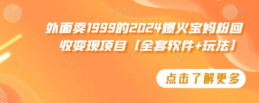 外面卖1999的2024爆火宝妈粉回收变现项目【全套软件+玩法】【揭秘】-腾渊科技论坛
