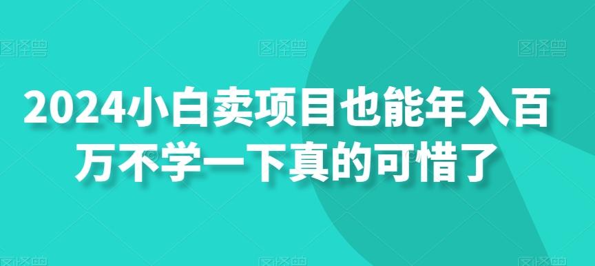 2024小白卖项目也能年入百万不学一下真的可惜了-腾渊科技论坛