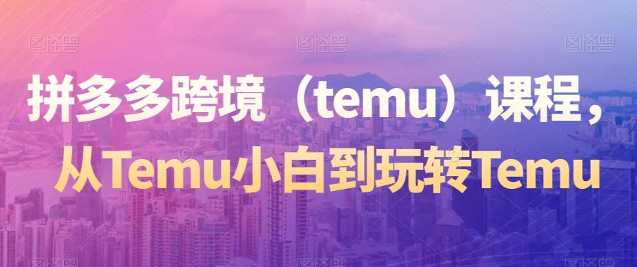拼多多跨境(temu)课程,从Temu小白到玩转Temu-腾渊科技论坛
