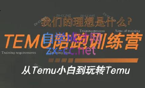 苗苗·拼多多跨境(temu)课程-腾渊科技论坛