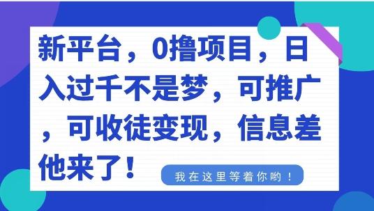 不要再花冤枉钱了,0撸项目,每天坚持,稳定1000+