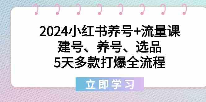 2024小红书养号+流量课：建号、养号、选品，5天多款打爆全流程-腾渊科技论坛