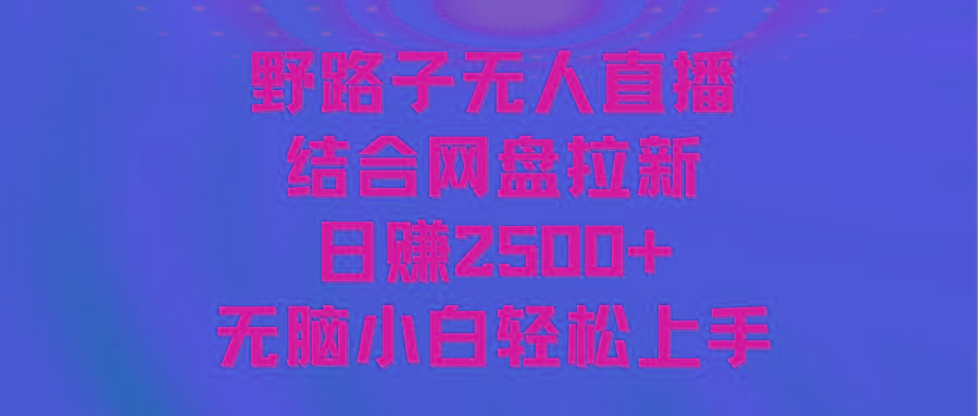 无人直播野路子结合网盘拉新，日赚2500+多平台变现，小白无脑轻松上手操作-腾渊科技论坛