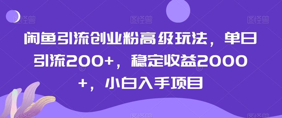闲鱼引流创业粉高级玩法，单日引流200+，稳定收益2000+，小白入手项目-腾渊科技论坛