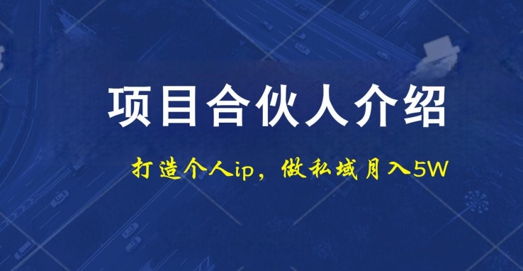 项目合伙人项目，打造个人IP，做私域月入5W，小白勿扰-腾渊科技论坛