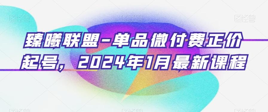臻曦联盟-单品微付费正价起号，2024年1月最新课程-腾渊科技论坛