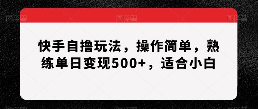 快手自撸玩法，操作简单，熟练单日变现500+，适合小白【揭秘】-腾渊科技论坛