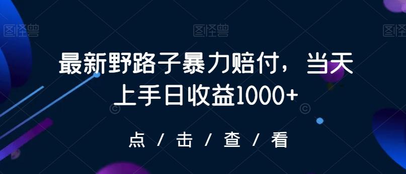 最新野路子暴力赔付，当天上手日收益1000+【仅揭秘】-腾渊科技论坛