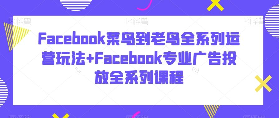 Facebook菜鸟到老鸟全系列运营玩法+Facebook专业广告投放全系列课程-腾渊科技论坛