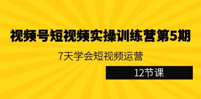 视频号短视频实操训练营第5期:7天学会短视频运营(12节课)-腾渊科技论坛