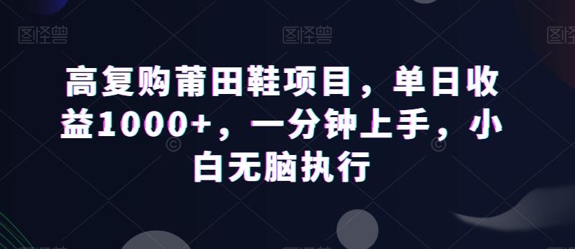 高复购莆田鞋项目，单日收益1000+，一分钟上手，小白无脑执行-腾渊科技论坛