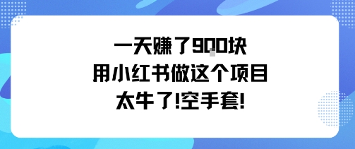 一天挣了9张用小红书做这个项目太牛了,空手套-腾渊科技论坛
