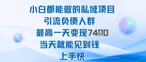 2025年小白都能做的私域项目引流负债人群最高一天变现1k+高变现难度低当天就能见到钱上手快-腾渊科技论坛