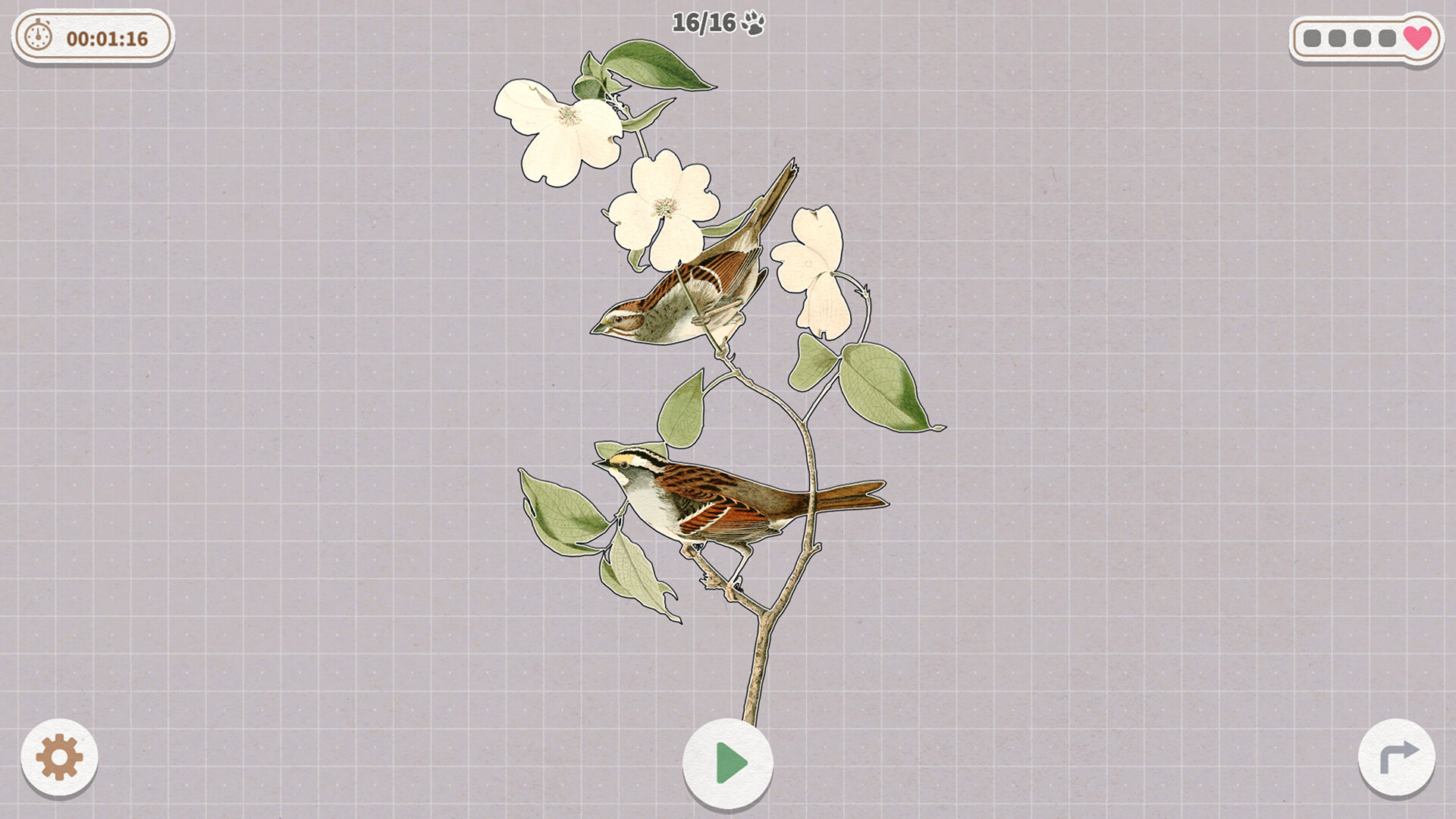 《挤在一起的鸟鸟/Birds Huddled Together》PC中文版下载-含Build.14298719-腾渊科技论坛