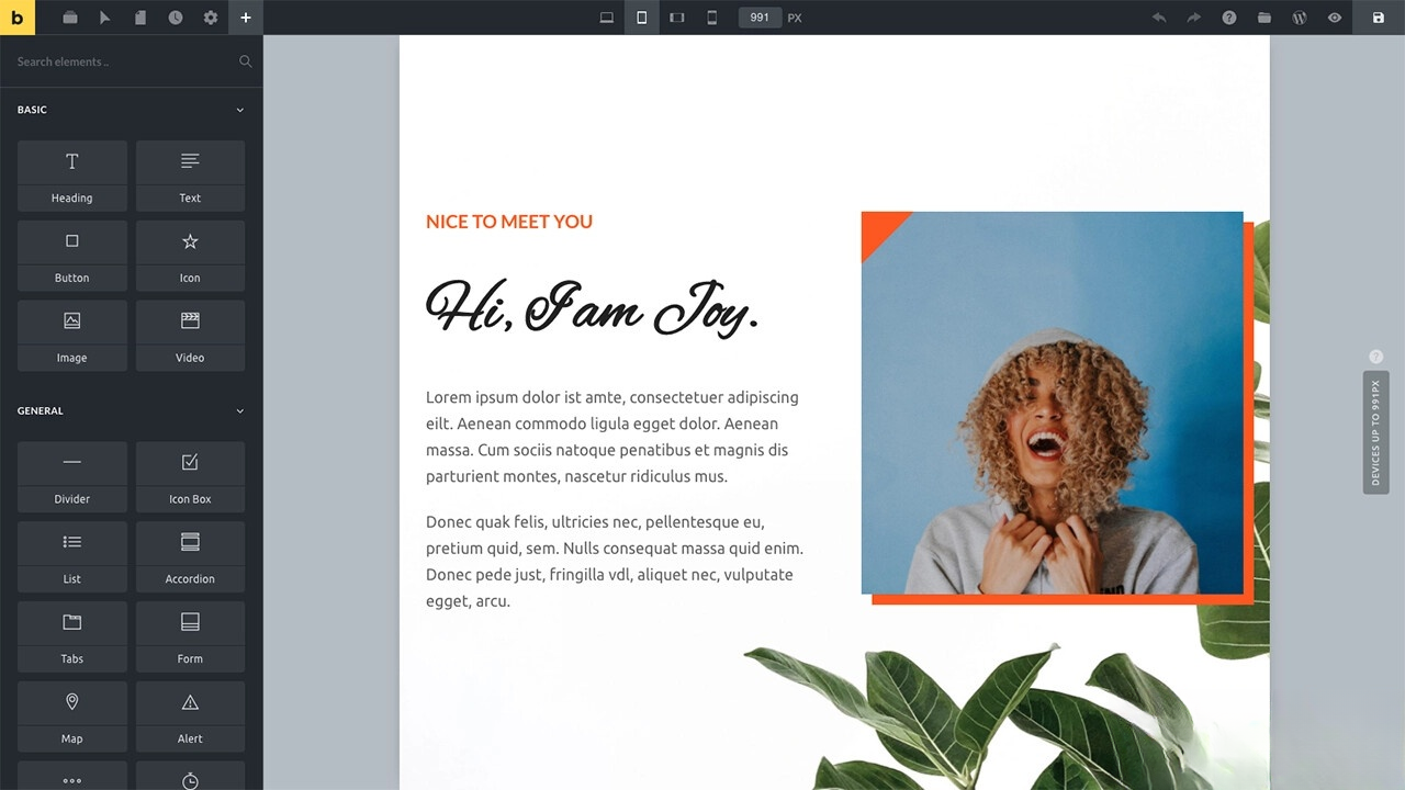 WordPress主题Bricks v1.9 破解版-腾渊科技论坛