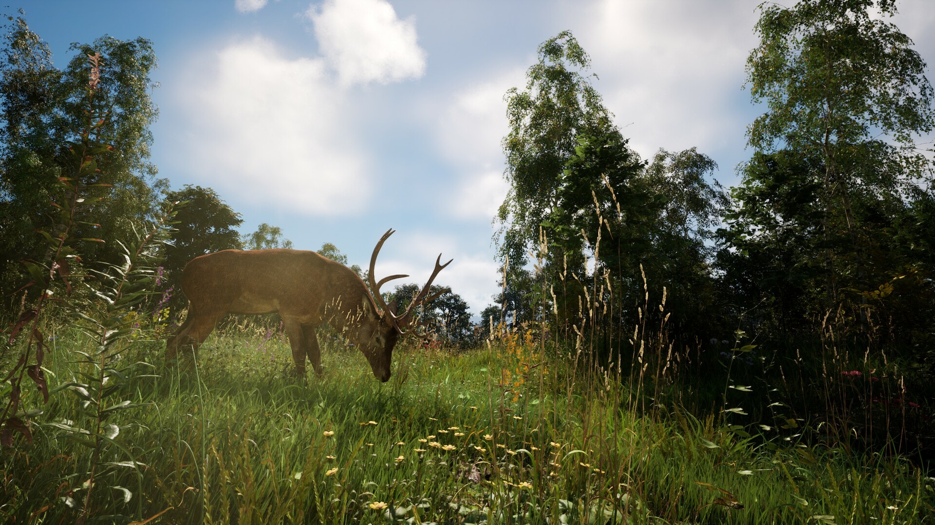 《恐惧地带/DREADZONE》PC中文版下载-含v1.5.5.1-腾渊科技论坛