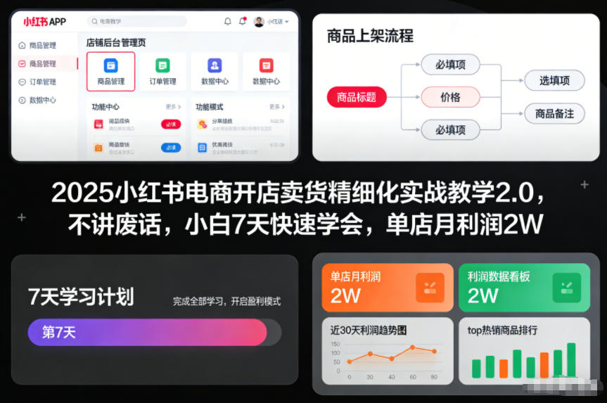 2025小红书电商开店卖货精细化实战教学2.0，不讲废话，小白7天快速学会，单店月利润2W-腾渊科技论坛