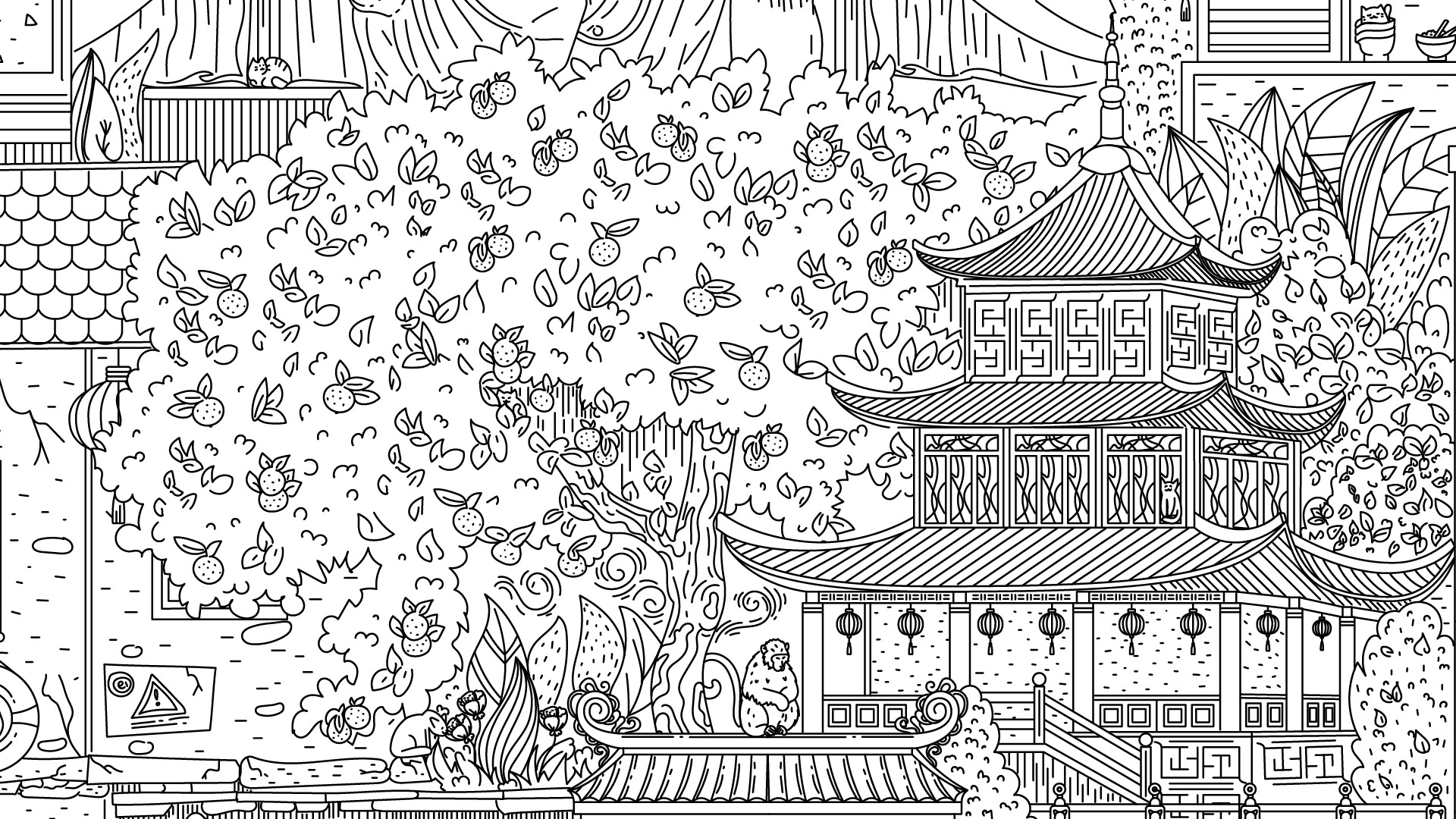 隐藏在中国的猫/Cats Hidden in China-腾渊科技论坛