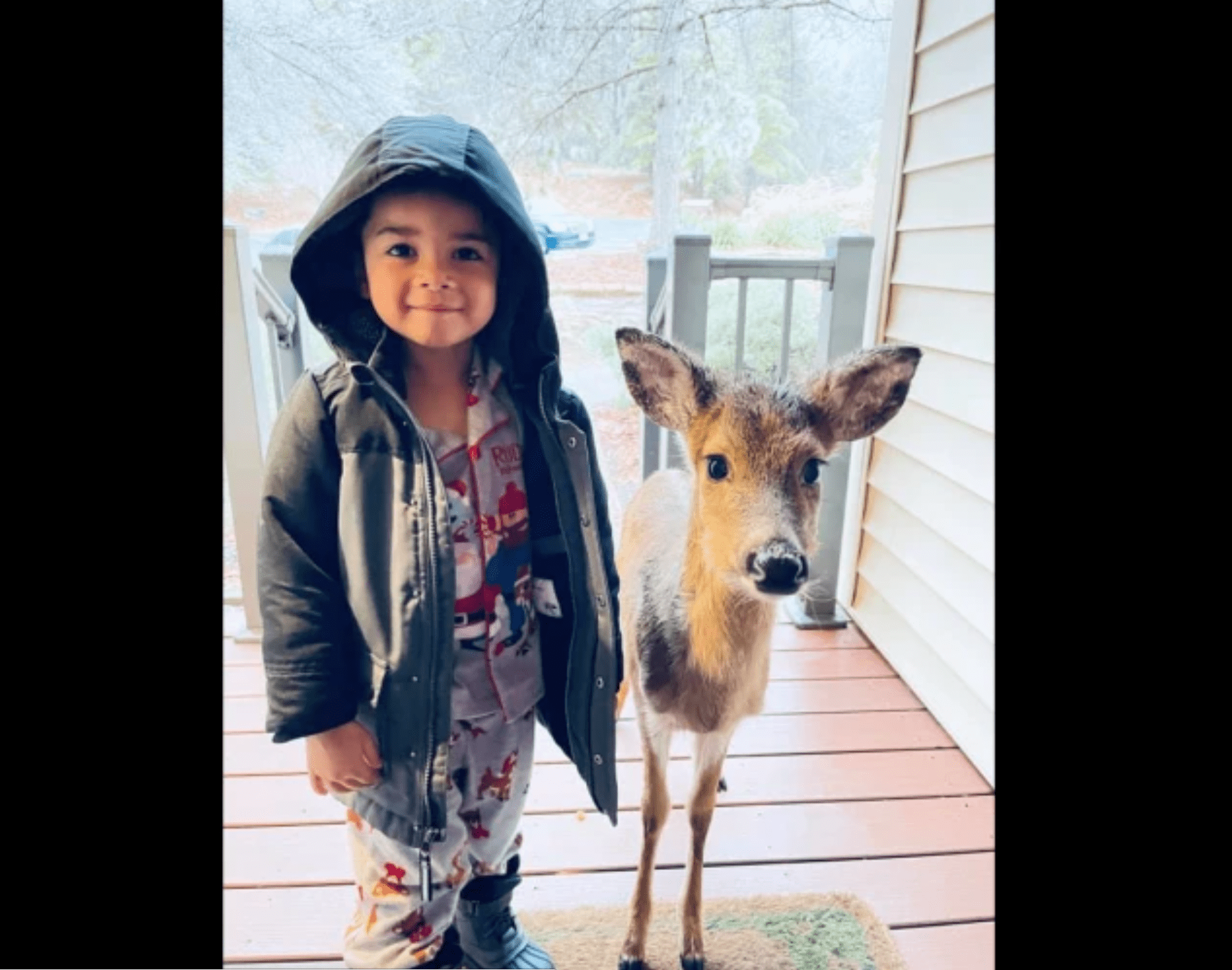 毁灭之王windows10能玩吗-腾渊科技论坛