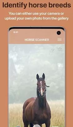 Horse Scanner 马鉴定器v12.1.0高级版-腾渊科技论坛
