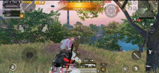 和平逸晨公益裸奔辅助 强势更新-腾渊科技论坛