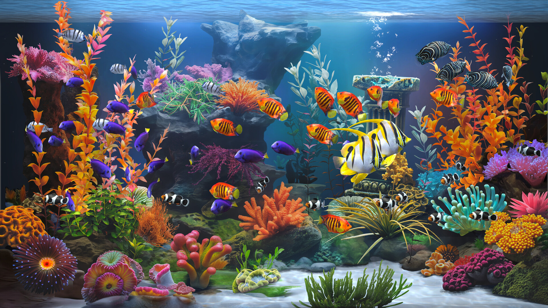 禅意水族馆/Zen Aquarium-腾渊科技论坛