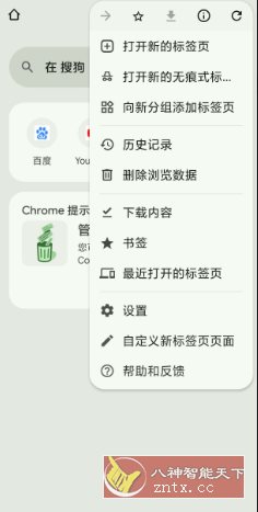 谷歌浏览器 Google Chrome v141.0.7390.70-腾渊科技论坛