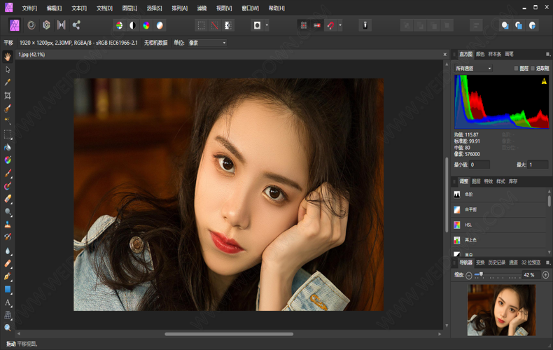 Affinity Designer2 v2.6.2.3228绿色版-腾渊科技论坛
