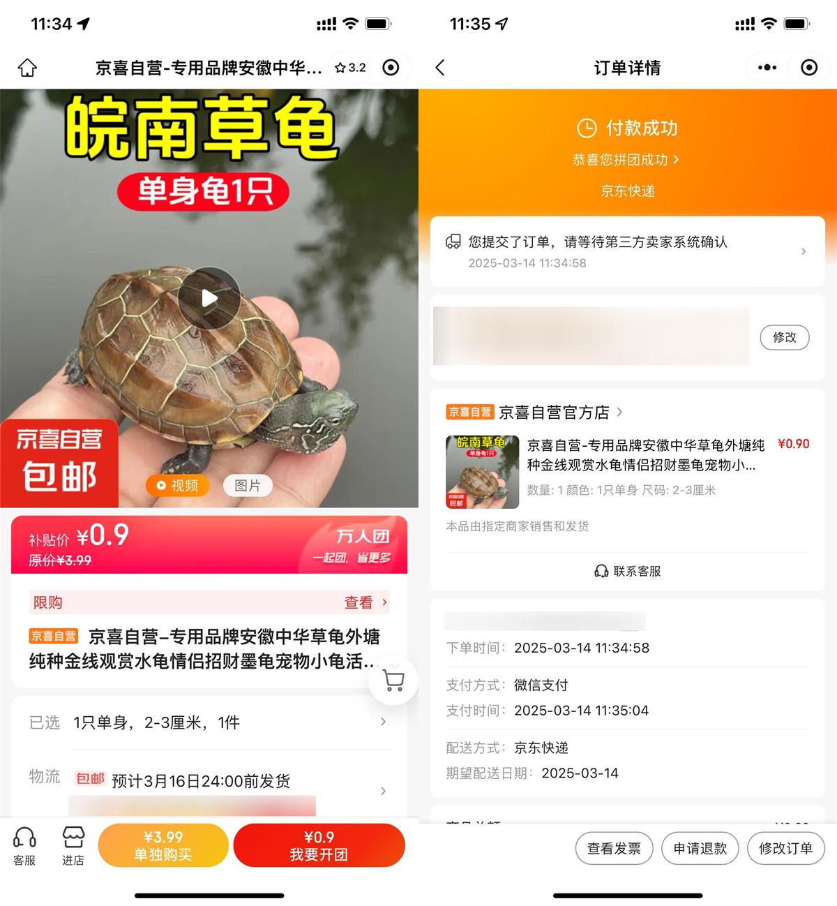 京东拼团0.9亓撸中华草龟1只-腾渊科技论坛