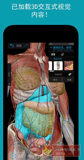 Human Anatomy Atlas 2026 人体解剖学图谱v2026.00.019高级版-腾渊科技论坛