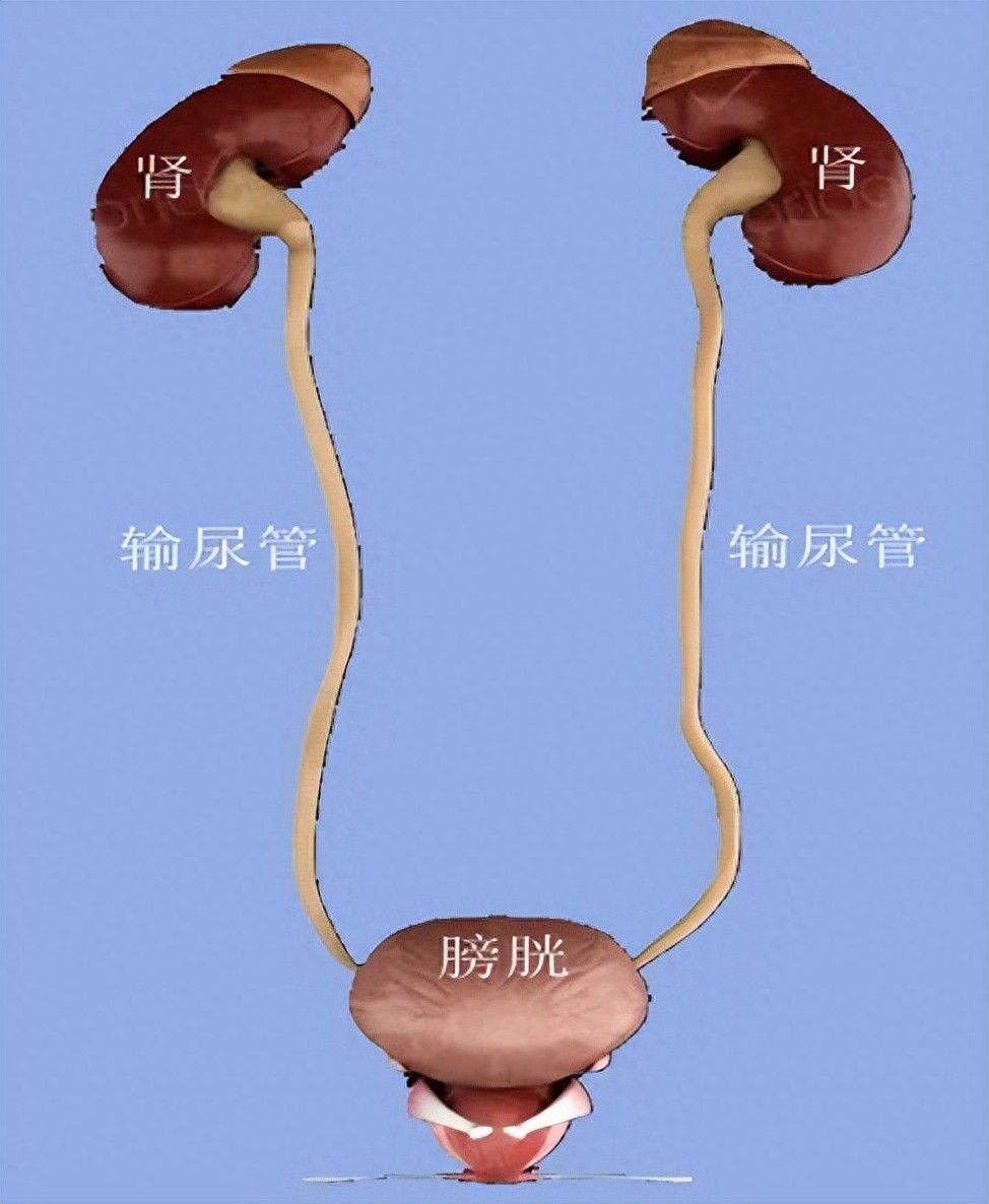 它被称为“幸运”的癌症！出现这个症状就是早期信号！-腾渊科技论坛