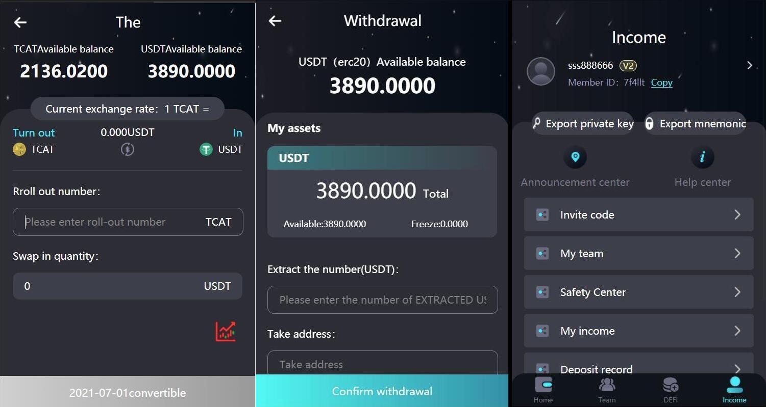 2024 新版H5打包版双语言虚拟系统 USDT支付-腾渊科技论坛