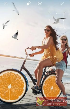 Picsart美易 v28.4.5 高级版-腾渊科技论坛